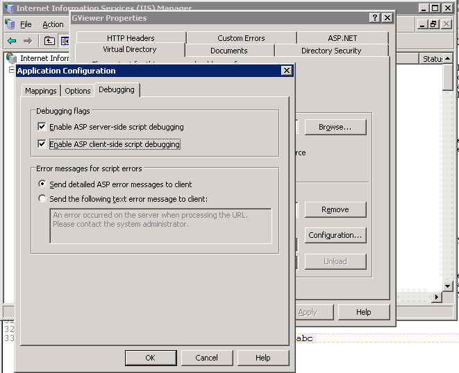 Enable debugging Internet Information Services Windows Server 2003